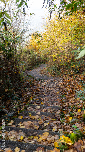 Wallpaper Mural Walking on a beautiful path during fall season, Montreux, Switzerland.  Torontodigital.ca