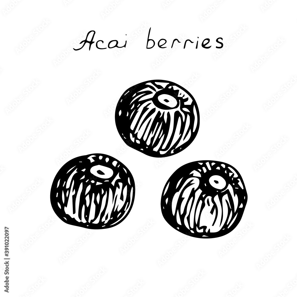 Acai berries, vector illustration, hand drawing Acai berries, vector illustration, hand drawing
