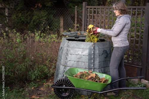 Obraz na plátně Middle aged caucasian woman throwing garden waste from wheelbarrow into compost bin in garden
