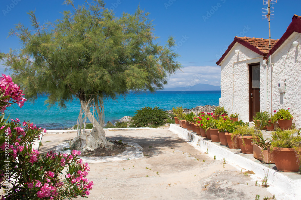 Greek summer beach with tree and traditional houses greek vacations island tourism Greek summer beach with tree and traditional houses greek vacations island tourism