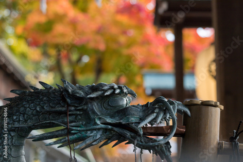 神社の手水舎と鮮やかな紅葉の風景
