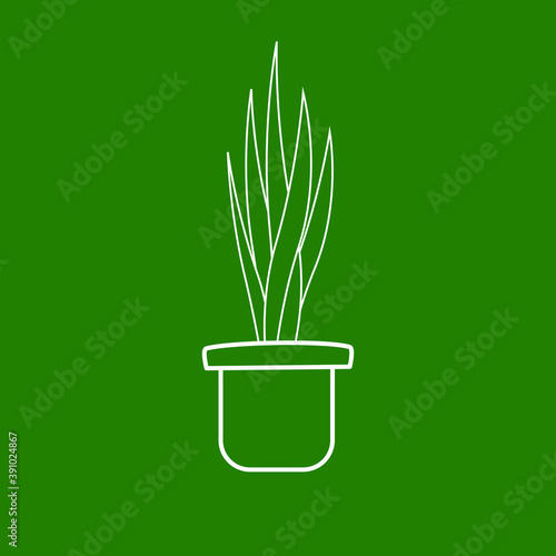The contour of the indoor flowerpot in a pot. Sansevier plant. Indoor plant in a pot. White outline. Green background. Vector image. Background image. Place for your text. Plant growing.