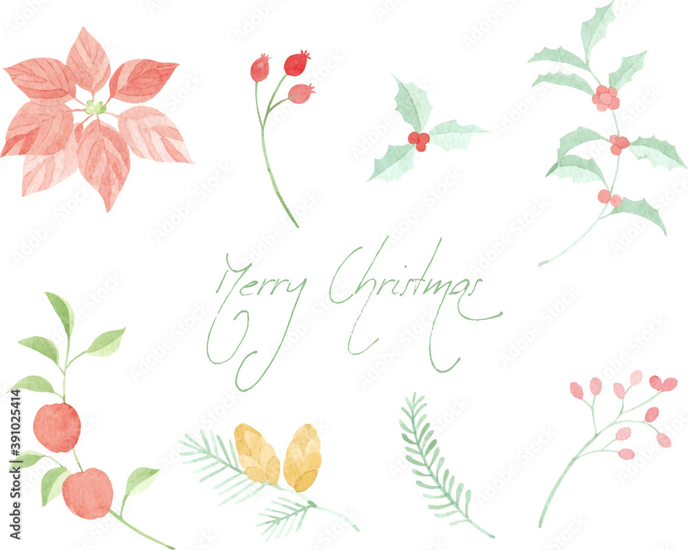 水彩で描いたクリスマスの植物素材