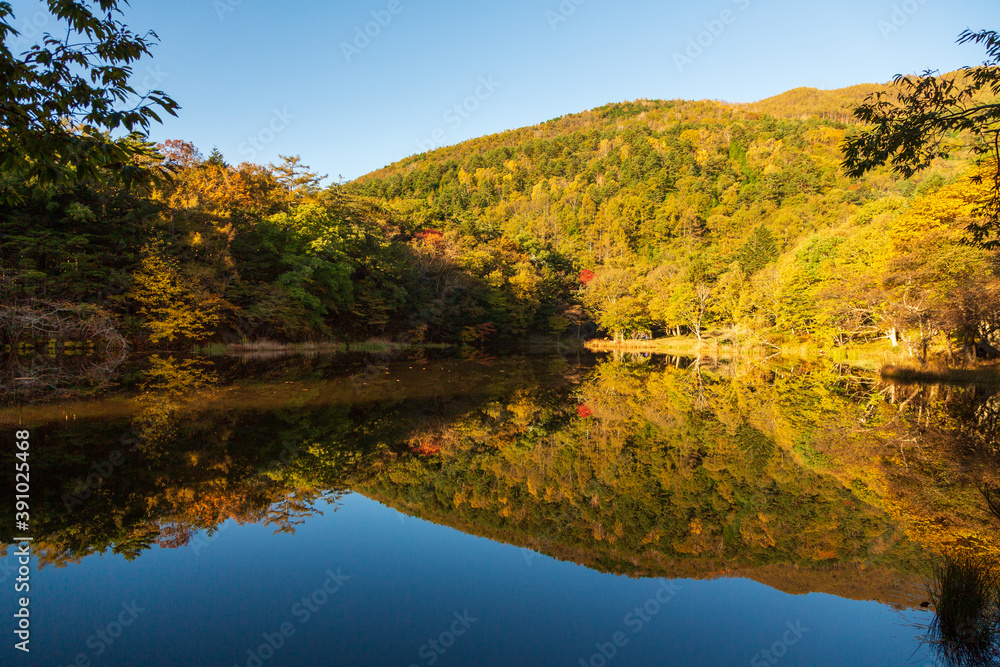 甘利山椹池の水面に映る紅葉