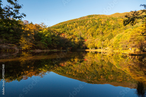 甘利山椹池の水面に映る紅葉