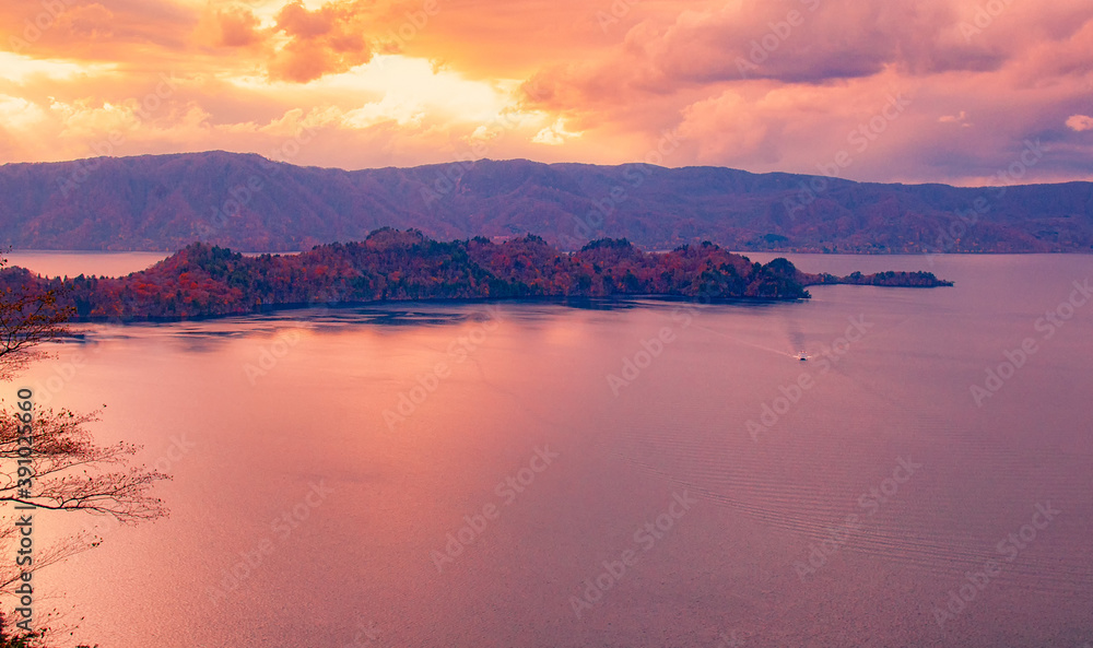 Fototapeta premium The leaves turn yellow. The leaves turn red. Autumn leaves fall