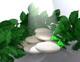 3d render scene podium display with leaf background.
