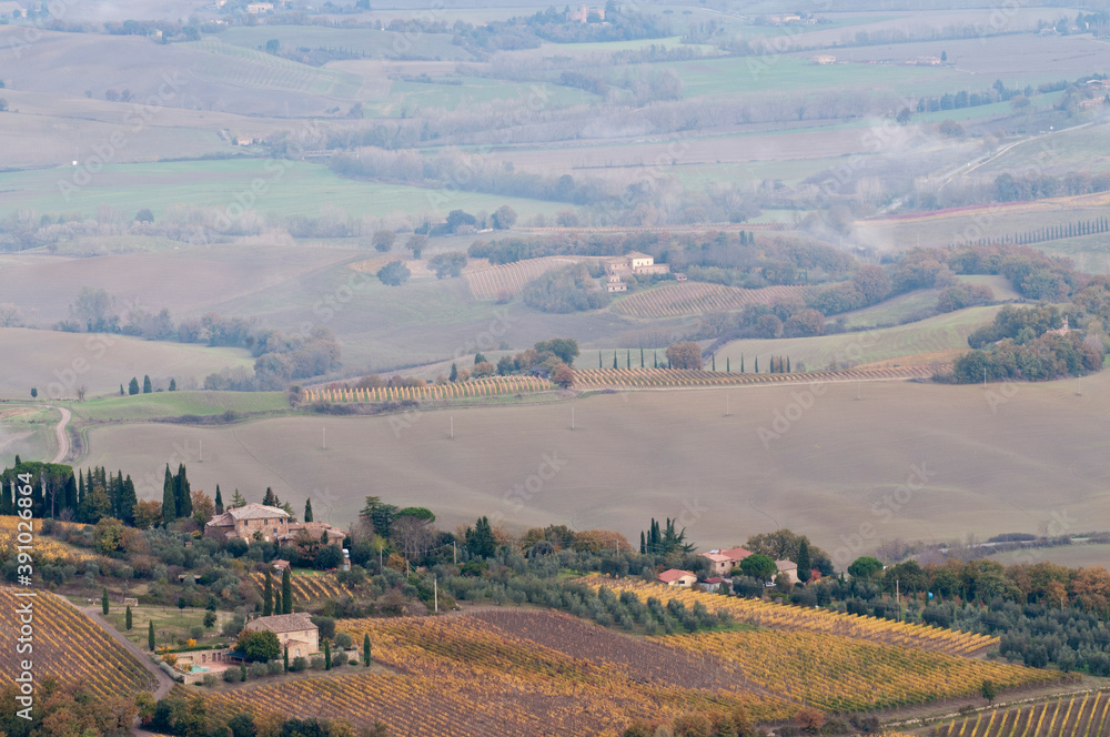 Landscape near Montalcino, Tuscany, Italy.