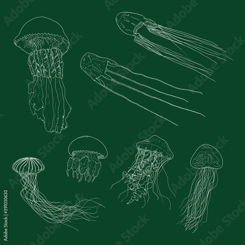 Vector Set of Chalk Sketch Jellyfishes