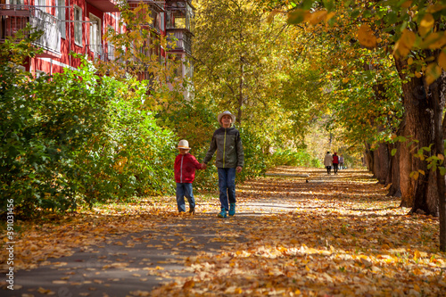 Two brothers are walking around a picturesque autumn town. Novosibirsk, Akademgorodok.
