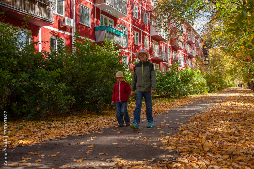 Two brothers are walking around a picturesque autumn town. Novosibirsk, Akademgorodok.