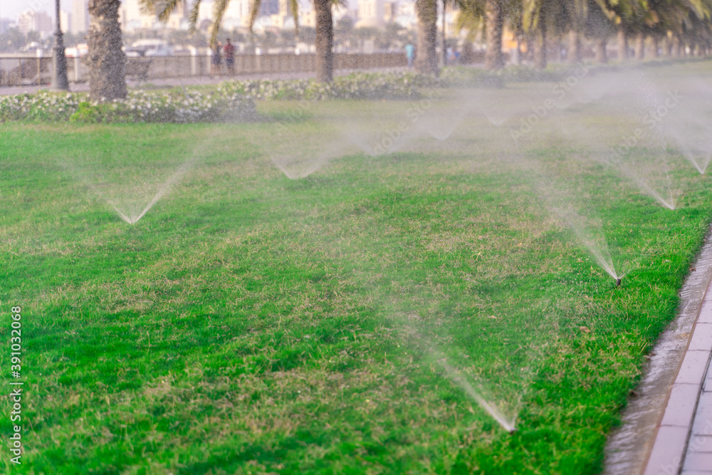 Φωτογραφία Beautiful green lawn park with trees is sprayed with automatic water spray sprinkler installation during hot period in summer blue sky