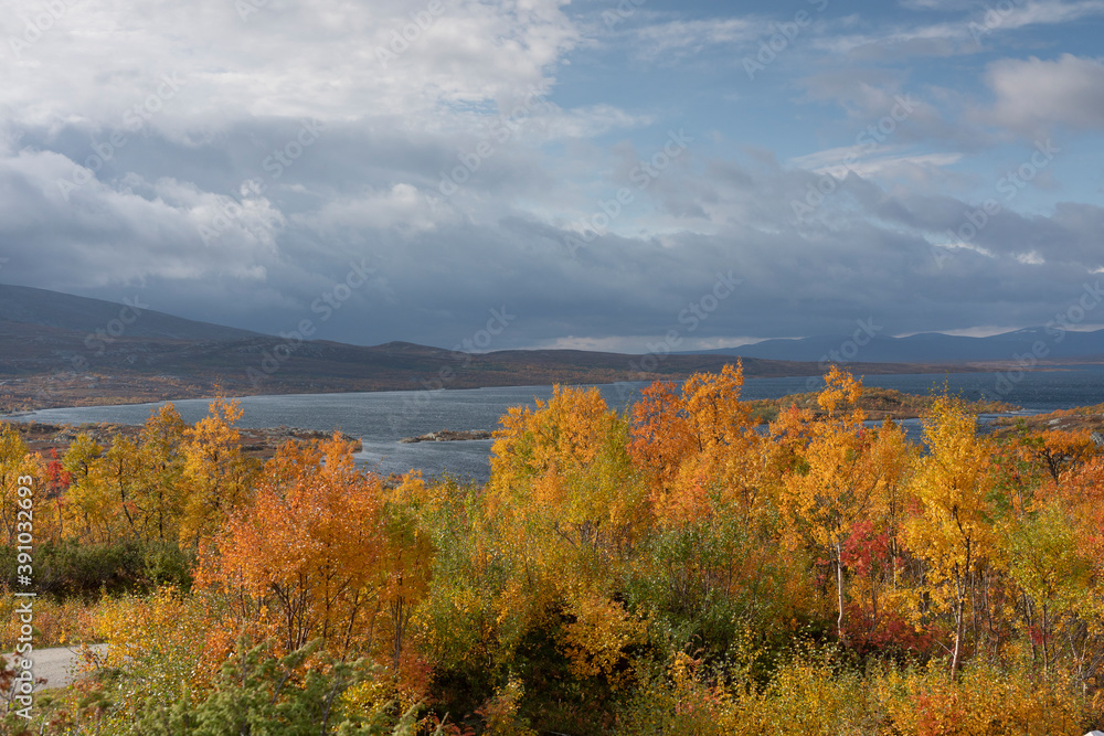 Autumn in Nedalen, Tydal, Norway Autumn in Nedalen, Tydal, Norway