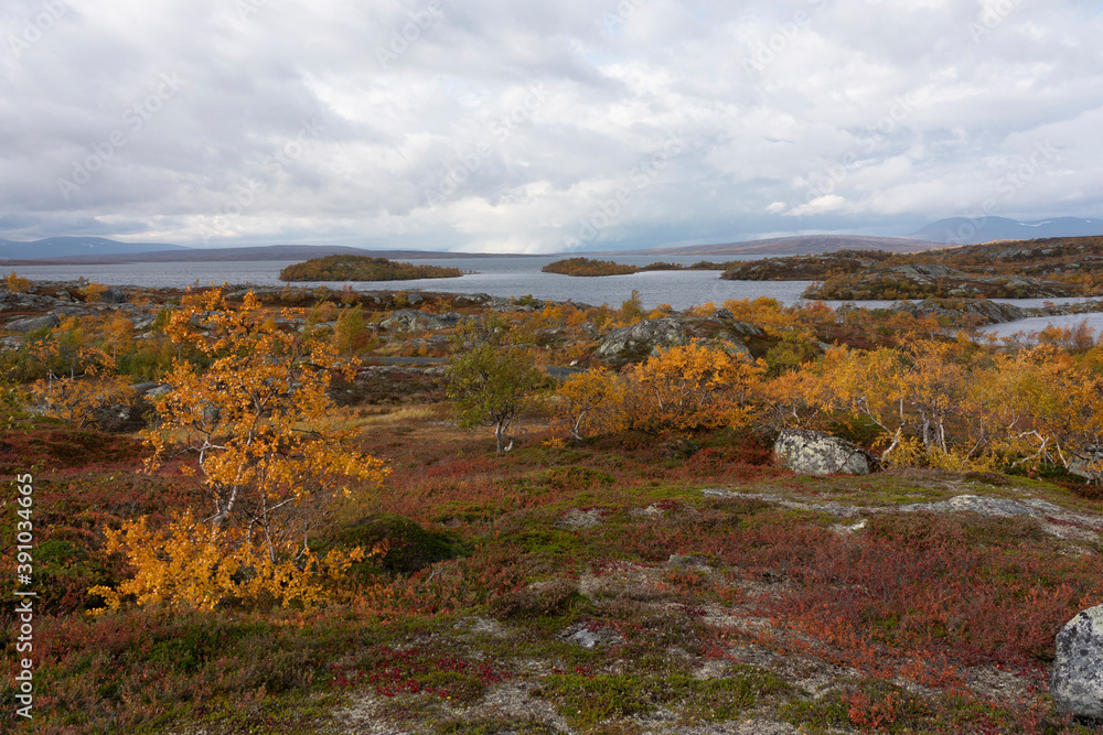 Autumn in Nedalen, Tydal, Norway Autumn in Nedalen, Tydal, Norway