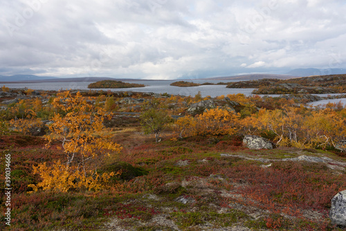 Autumn in Nedalen, Tydal, Norway