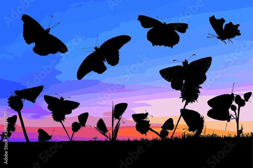 Collection of 18 silhouette of butterflies