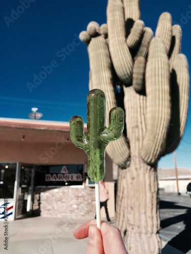 Cactus lollipop, California