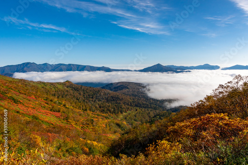 北海道・大雪山系の赤岳で見た、銀泉台に広がる色とりどりの紅葉と迫り来る雲海、快晴の青空