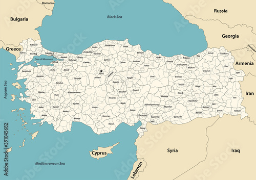Turkey distrcts colored by provinces with neighbouring countries and territories. Vector map