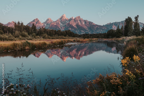 Sunrise on the Teton Range of the Rocky Mountains. Schwabacher Landing in Grand Teton National Park, Wyoming, USA. Water reflections of Teton Range on the Snake River. Blurred flowers in foreground.