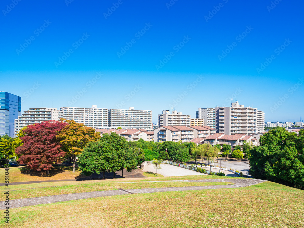 Obraz premium マンションが建ち並ぶ住宅街と色づく木々