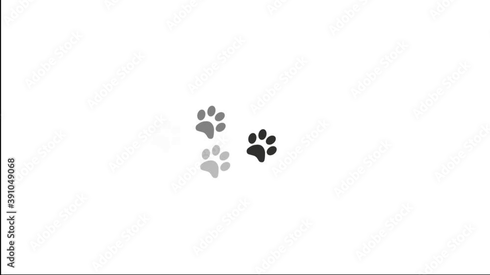 Paw prints animal feet foot footprints pawprints dog cat Paw prints animal feet foot footprints pawprints dog cat