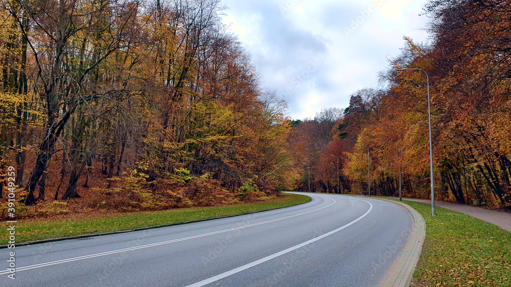 Street and pavement in the autumn forest, no people or cars. Street and pavement in the autumn forest, no people or cars.