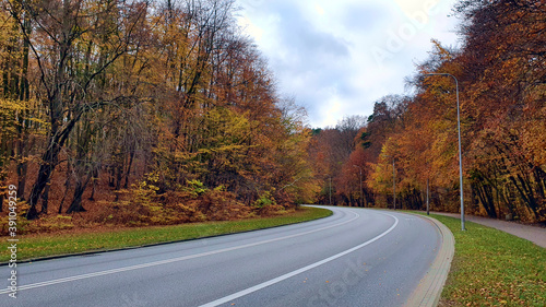 Wallpaper Mural Street and pavement in the autumn forest, no people or cars. Torontodigital.ca