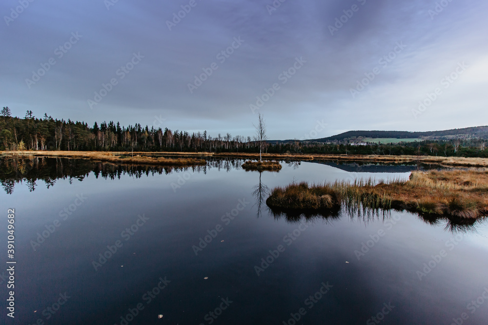 Fototapeta premium Chalupska Moor near village of Borova Lada, Czech republic. Beautiful reflection in a lake with single birch on island in Sumava mountains national park. Colorful autumn sunrise.Famous Czech place.