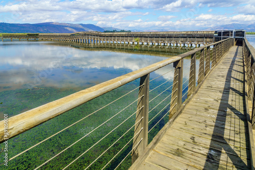 Floating bridge  with wetland landscape  in the Hula nature reserve