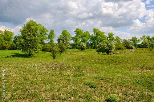 NSG Sulzheimer Gipshügel, Landkreis Schweinfurt, Unterfranken, Bayern, Deutschland © dina