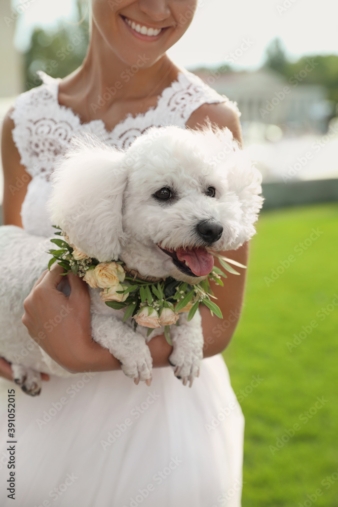 Bride and adorable Bichon wearing wreath made of beautiful flowers outdoors, closeup Bride and adorable Bichon wearing wreath made of beautiful flowers outdoors, closeup
