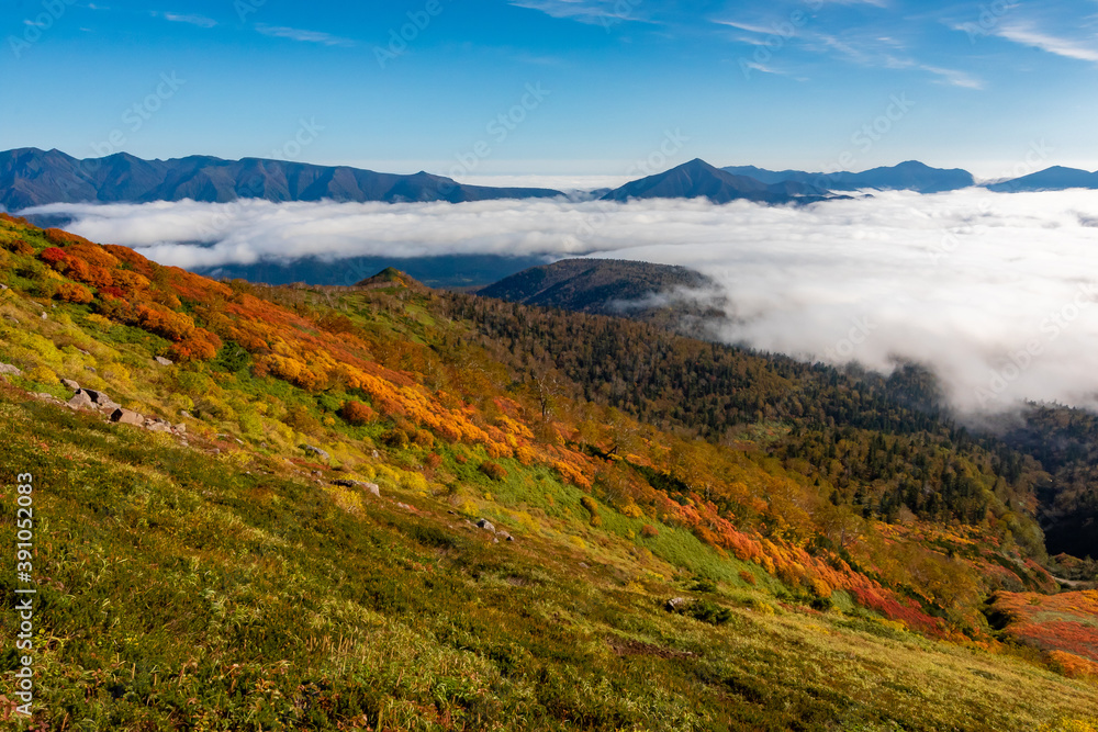 北海道・大雪山系の赤岳で見た、眼下に広がる銀泉台の紅葉と迫り来る雲海、快晴の青空