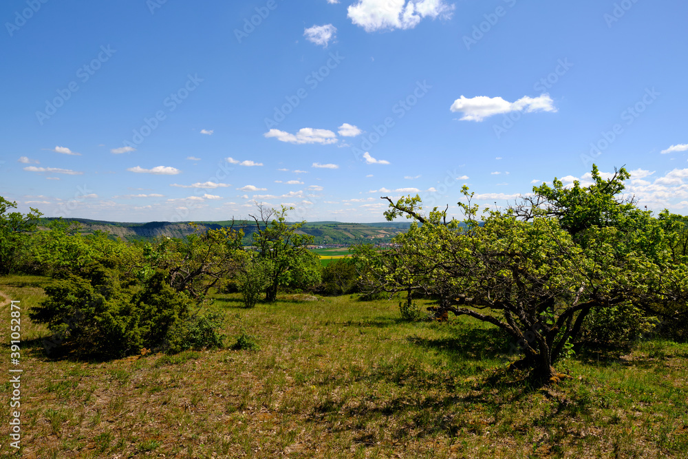 Landschaft im Naturschutzgebiet Mäusberg bei Karlstadt, Landkreis Main-Spessart, Unterfranken, Bayern, Deutschland Landschaft im Naturschutzgebiet Mäusberg bei Karlstadt, Landkreis Main-Spessart, Unterfranken, Bayern, Deutschland