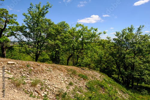 Landschaft im Naturschutzgebiet M  usberg bei Karlstadt  Landkreis Main-Spessart  Unterfranken  Bayern  Deutschland