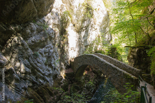 Stone bridge at the Gorge de l'Areuse photo