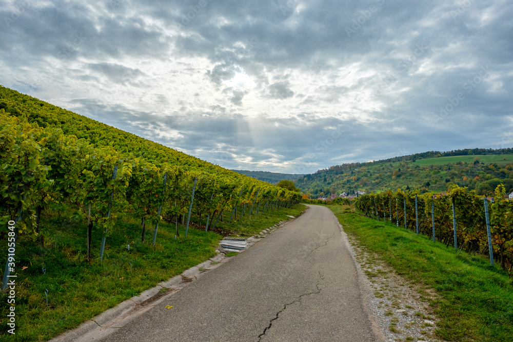 Cloudy sky over a vineyard landscape with road