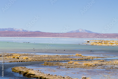 Bolivian lagoon landscape,Bolivia photo