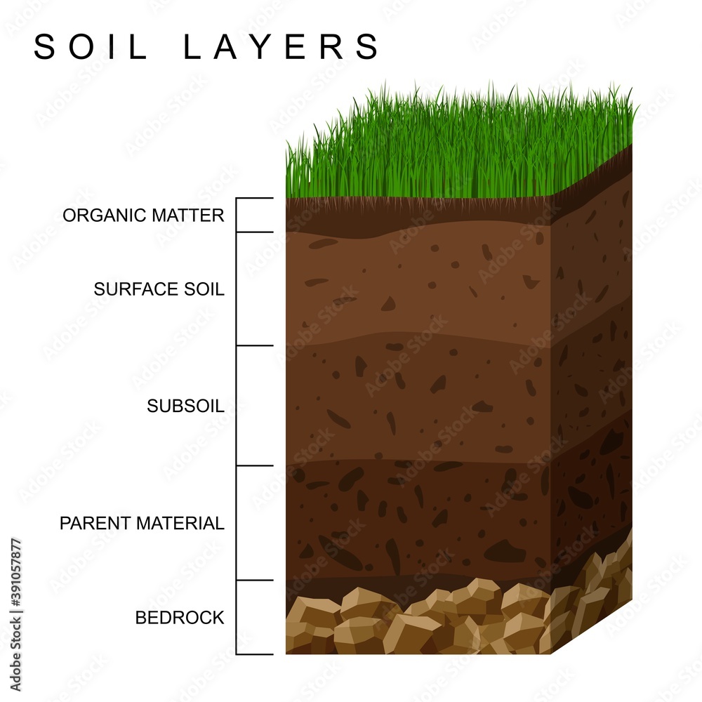 Soil layers diagram earth texture, stones. Ground with green grass on