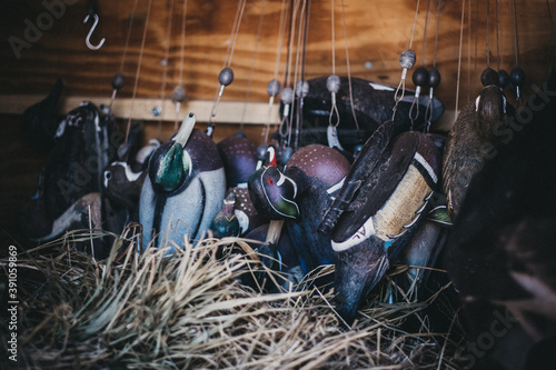 Duck hunting decoys hang in a trailer ready to be deployed.  photo