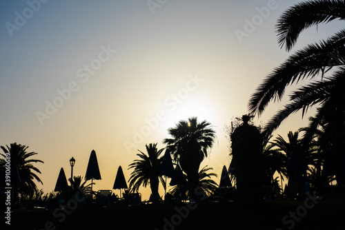 Zachód słońca z palmami