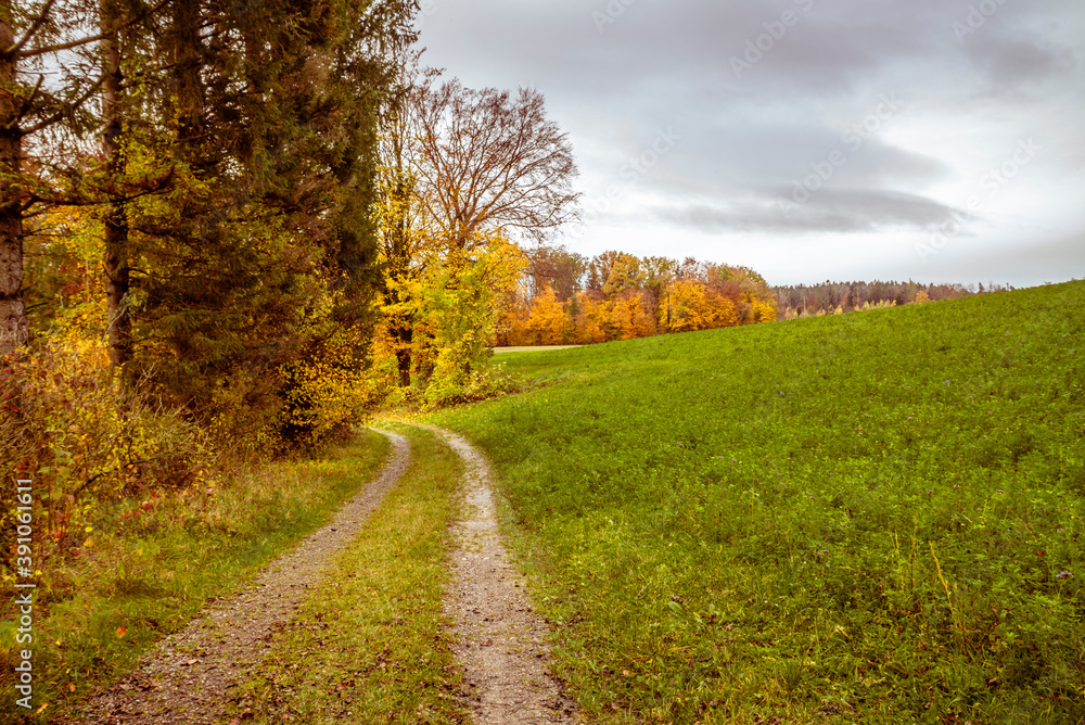 A country road in a forest in Switzerland surrounded by colorful autumn trees and leaves A country road in a forest in Switzerland surrounded by colorful autumn trees and leaves