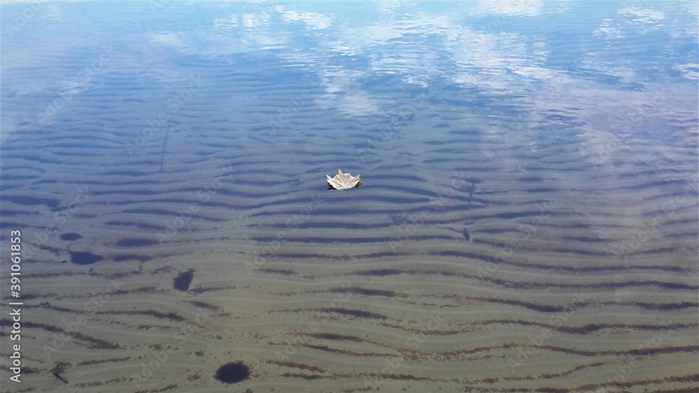 Ein Blatt von einer Platane schwimmt auf der Oberfläche von einem See Ein Blatt von einer Platane schwimmt auf der Oberfläche von einem See