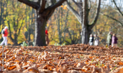 people walking in a park, focus on the foreground foliage, blurred background, autumn colors