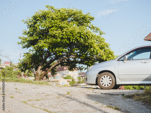 The car is parked by the road with a curved tree and houses in the background © jockermax3d