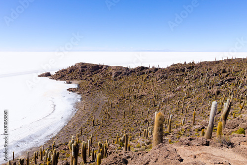 Salar de Uyuni view from Isla Incahuasi photo