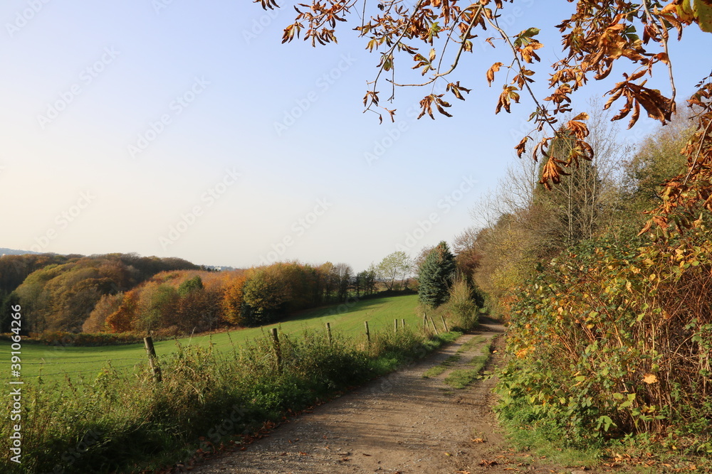 Feldweg im Herbst in idyllischer Natur