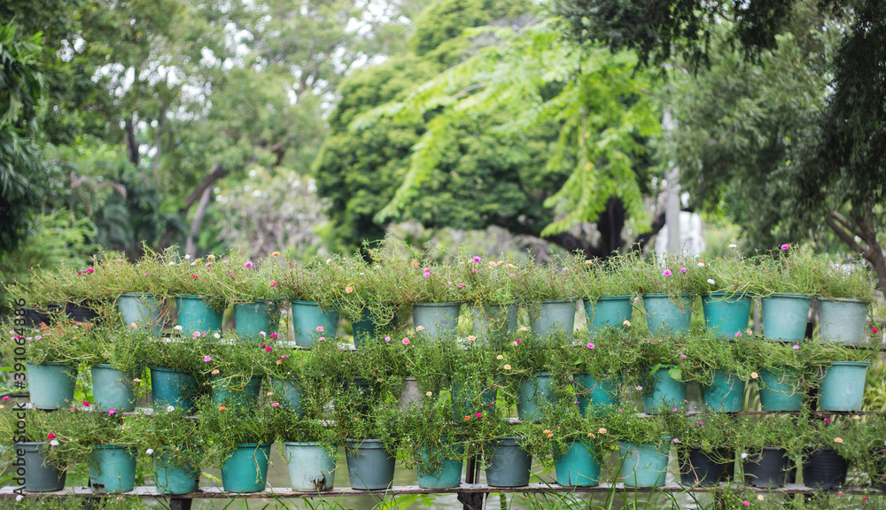 roll of flower pot on garden in nature background roll of flower pot on garden in nature background