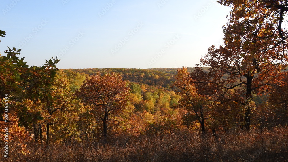 Hills covered by woods in autumn Hills covered by woods in autumn