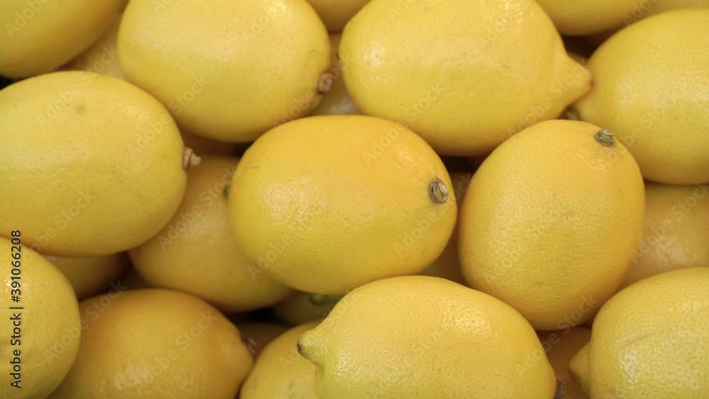 Fresh lemons harvest close up Fresh lemons harvest close up